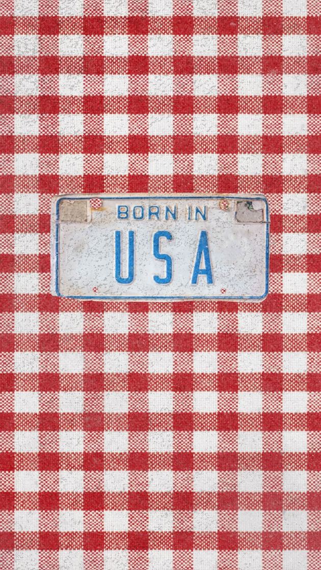 A weathered Born in USA license plate on red gingham.